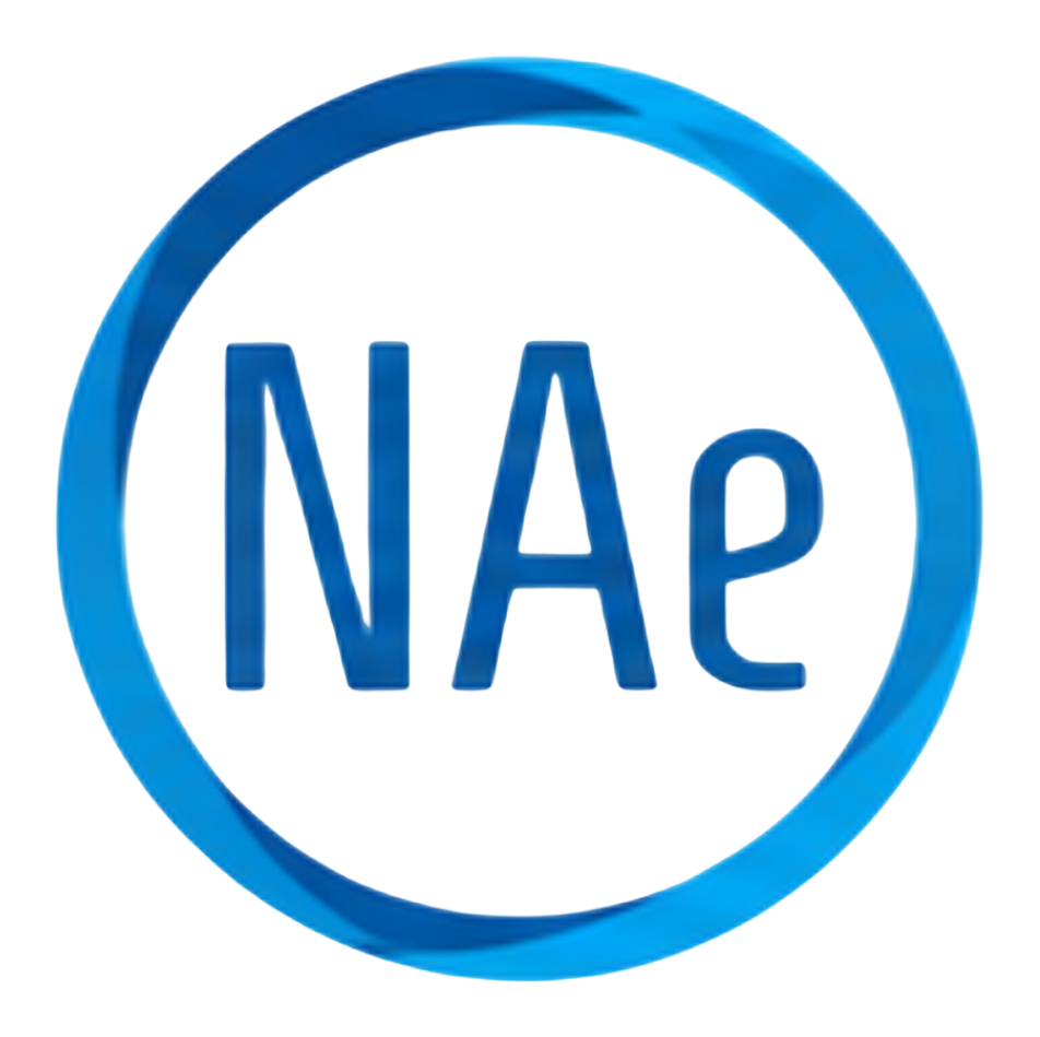 NFSA-e